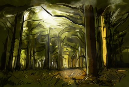 forest concept 1